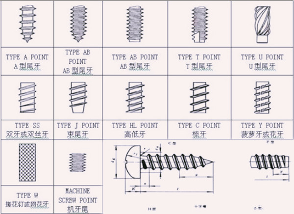 自攻螺釘的螺紋種類